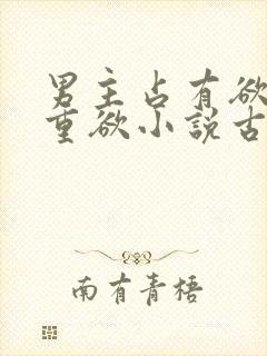 男主占有欲强且重欲小说古言