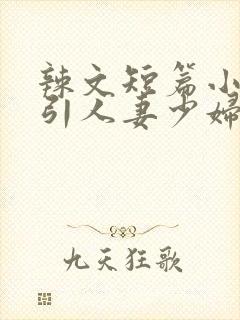 辣文短篇小说勾引人妻少妇