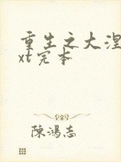 重生之大涅磐txt完本