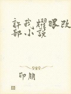 许我耀眼改编哪部小说