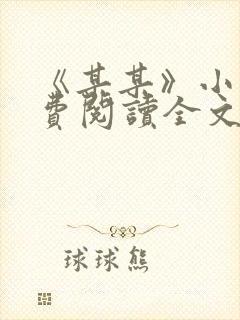 《某某》小说免费阅读全文