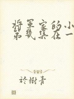 将军家的小娘子第几集在一起