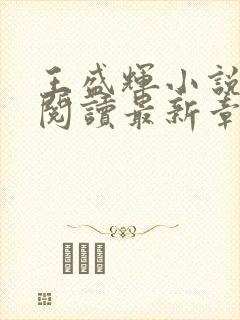 王盛辉小说免费阅读最新章节