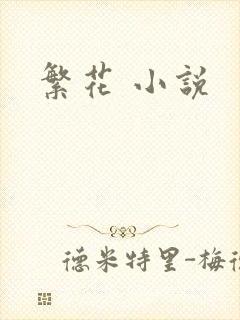 繁花 小说