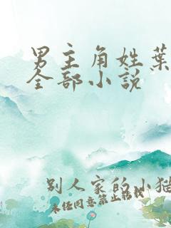 男主角姓叶尘的全部小说