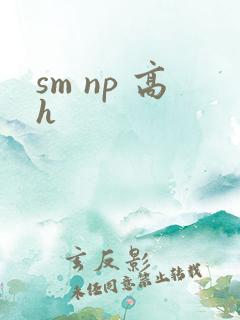 sm np 高h