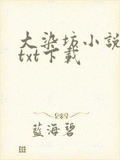 大染坊小说原著txt下载