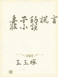 妻子的谎言完整版小说