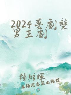 2024台剧双男主剧