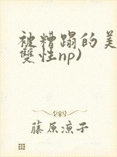 被糟蹋的美人(双性np)