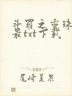 斗罗之灵珠神剑最txt下载