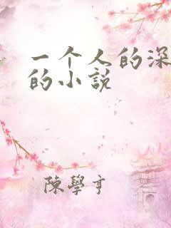 一个人的深夜看的小说