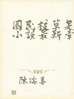 国民校草是女生小说最新章节阅读