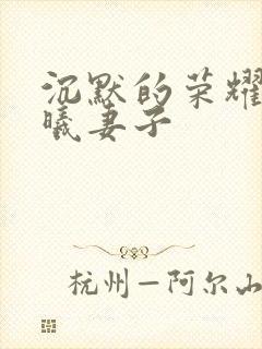 沉默的荣耀 聂曦妻子