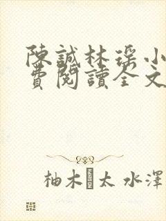 陈诚林瑶小说免费阅读全文最新章节