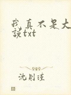 我真不是大佬小说txt