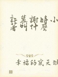 许慕谢时小说原著叫什么