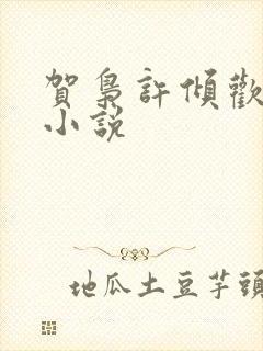 贺枭许倾欢原著小说