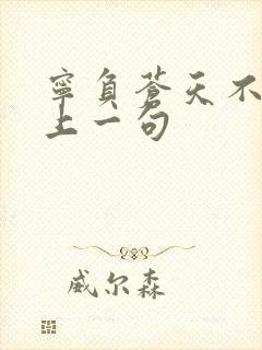 宁负苍天不负卿上一句