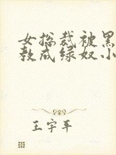 女总裁被黑人调教成绿奴小说