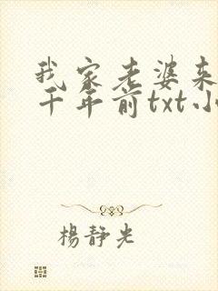 我家老婆来自一千年前txt小说下载