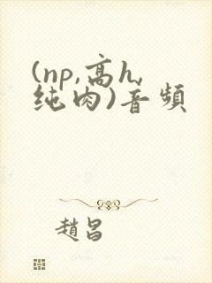 (np,高h,纯肉)音频