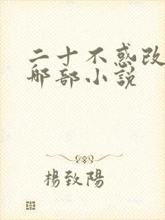 二十不惑改编自哪部小说
