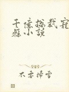 千亿总裁宠妻上瘾小说