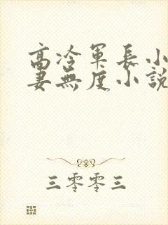 高冷军长小叔宠妻无度小说