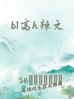 bl高h辣文