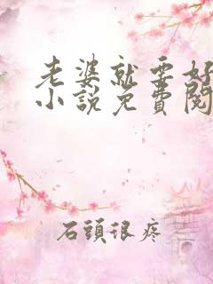 老婆就要好好追小说免费阅读