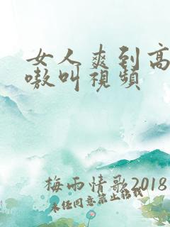 女人爽到高潮嗷嗷叫视频