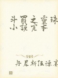 斗罗之灵珠神剑小说完本