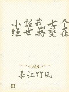 小说我七个姐姐绝世无双在线阅读