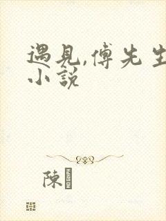 遇见,傅先生的小说