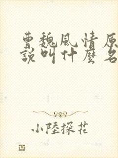 曹魏风情原著小说叫什么名字