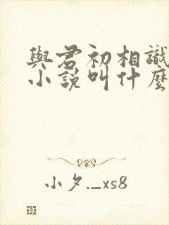 与君初相识原著小说叫什么