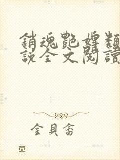 销魂艳婢类似小说全文阅读