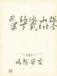 我的冰山总裁老婆下载txt全文