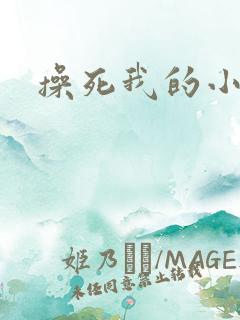 操死我的小逼