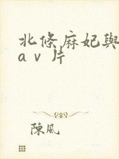 北条麻妃与黑人aⅴ片