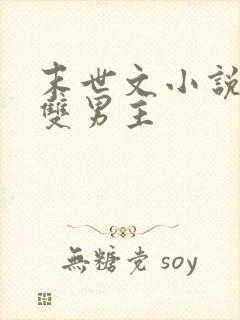 末世文小说推荐双男主