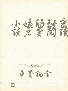 小姨的秘密的小说免费阅读