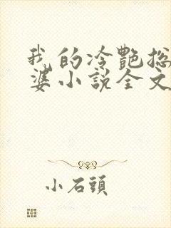 我的冷艳总裁老婆小说全文免费阅读