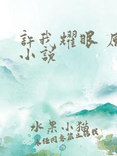 许我耀眼 原著小说