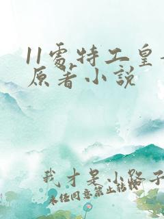 11处特工皇妃原著小说