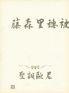 藤森里穗被侵犯