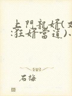 上门龙婿(又名:狂婿当道)小说