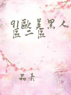 91欧美黑人一区二区