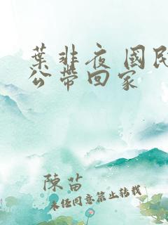 叶非夜 国民老公带回家